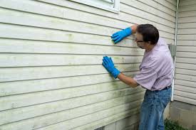 Affordable Siding Repair and Maintenance Services in Cascade, IA